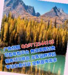 临西生子装饰有限公司